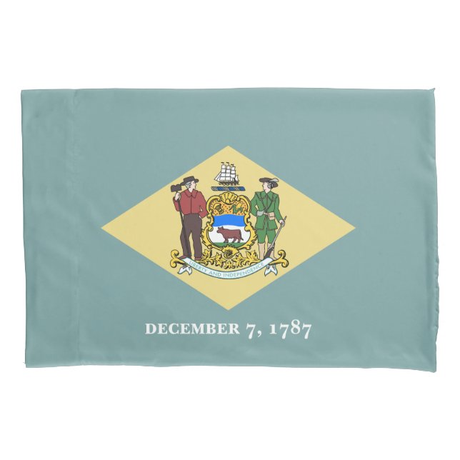 Bandeira do Estado de Delaware (Frente)