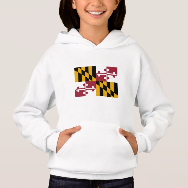 Bandeira do Estado de Maryland (Frente)