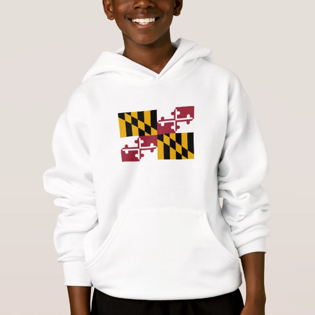 Bandeira do estado de Maryland (Frente)