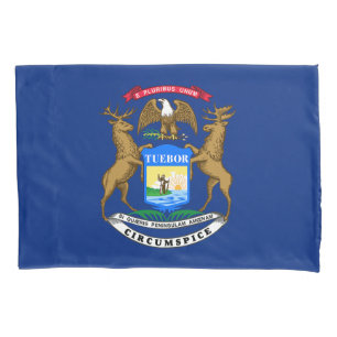 Bandeira do estado de Michigan