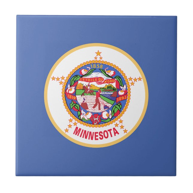 Bandeira do Estado de Minnesota (Frente)