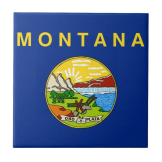 Bandeira do estado de Montana