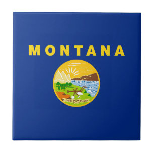 Bandeira do Estado de Montana