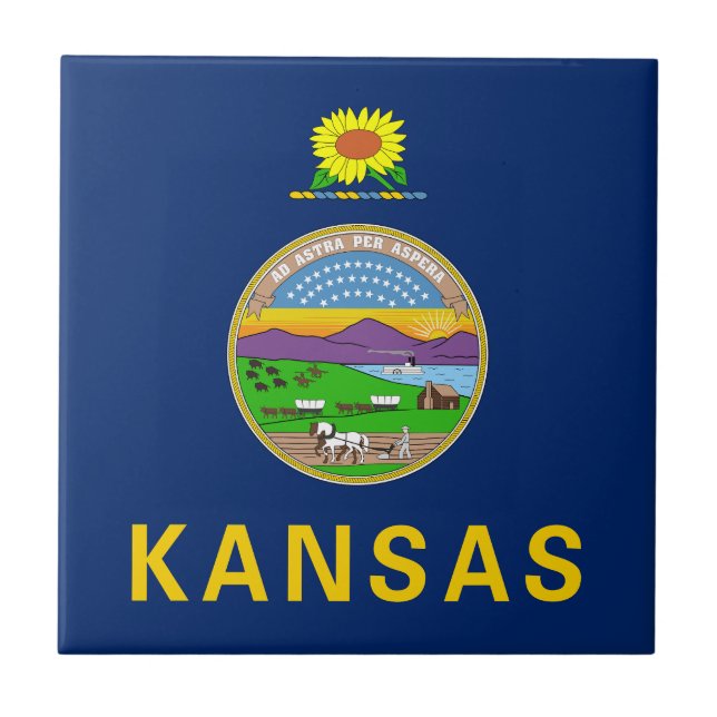 Bandeira do Estado do Kansas (Frente)