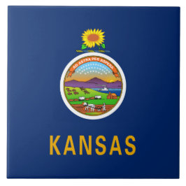 Bandeira do Estado do Kansas