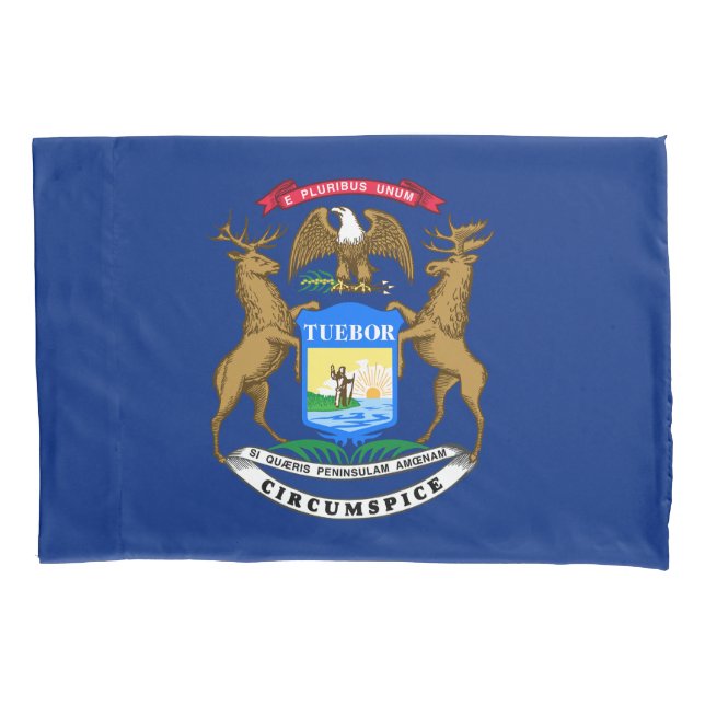 Bandeira do Estado do Michigan (Frente)