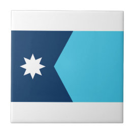Bandeira do Estado do Minnesota