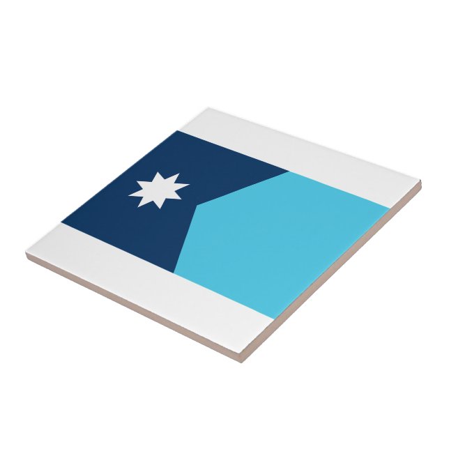 Bandeira do Estado do Minnesota (Lateral)