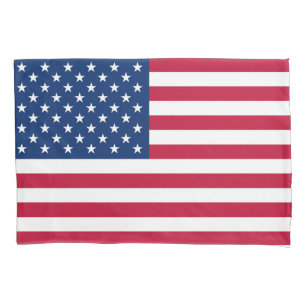 Bandeira do exército americano EUA de América