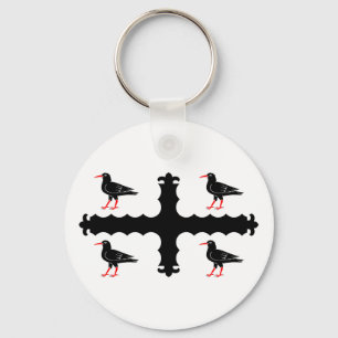 Bandeira do Flintshire Chaveiro