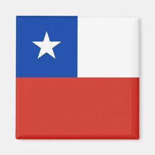 Bandeira do Imã do Chile