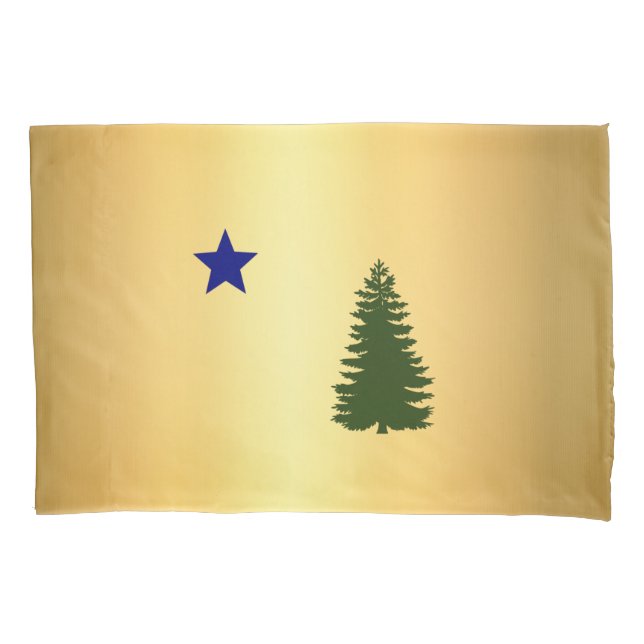 Bandeira do Maine de 1901 (Frente)