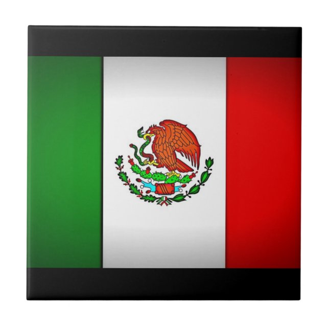 Bandeira do México Estilizada (Frente)