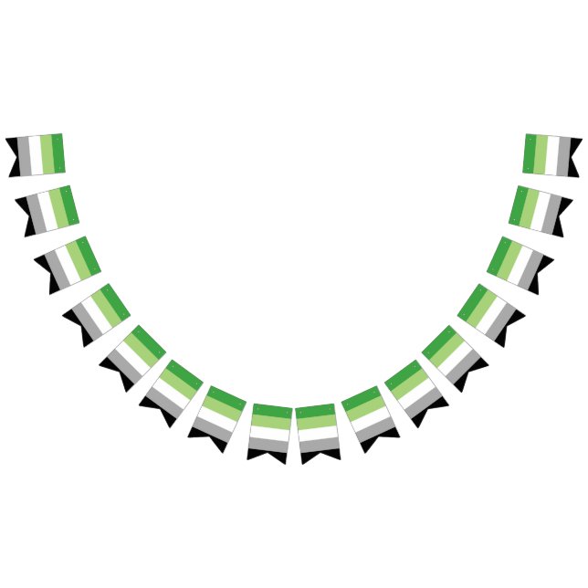 Bandeira do Orgulho Aromântico (Todos)