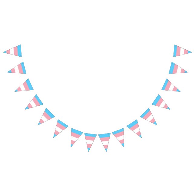 Bandeira do orgulho transgênero (Todos)