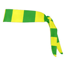 Bandeira do País Leitrim