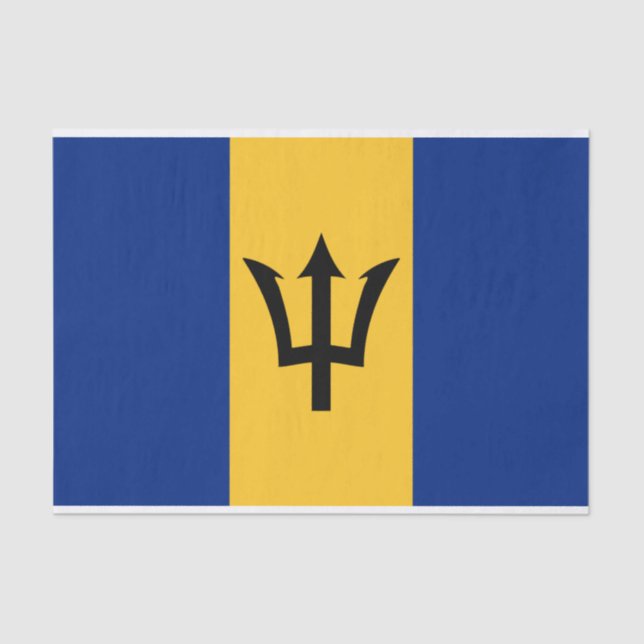 Bandeira do Papel Tecido de Barbados (Frente )