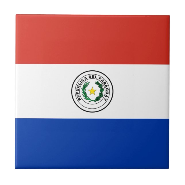 Bandeira do Paraguai (Frente)