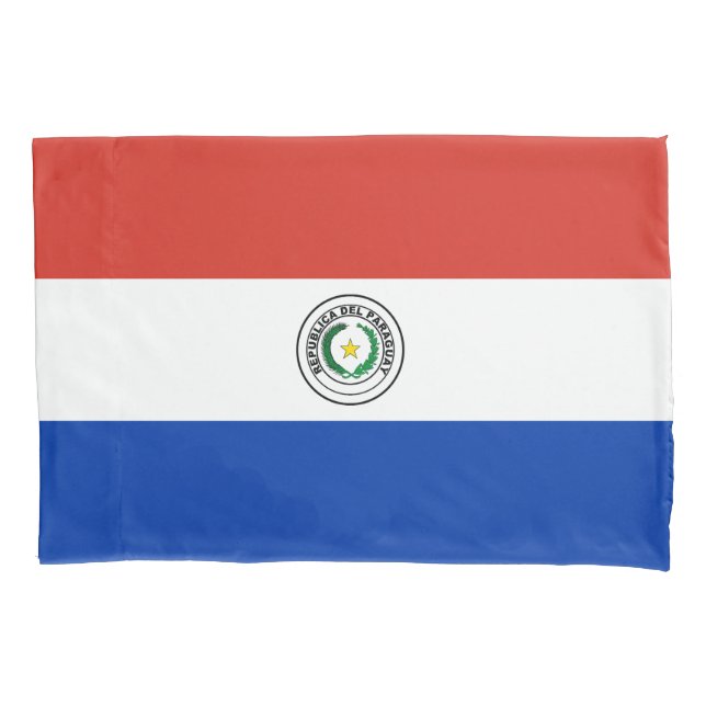 Bandeira do Paraguai (Frente)