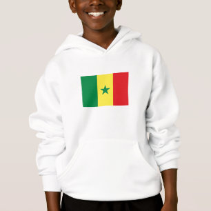 Bandeira do Senegal