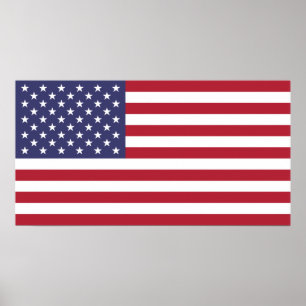 Bandeira do Small Poster dos Estados Unidos da Am