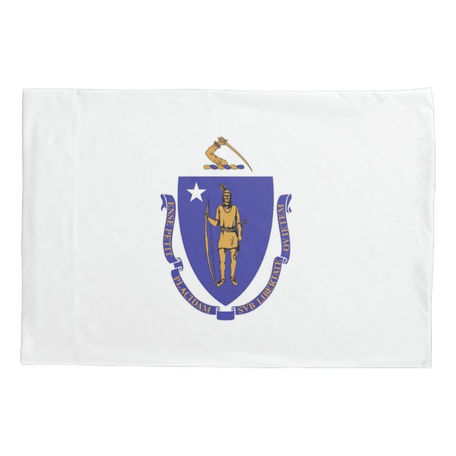 Bandeira do Solteiro Patriótico de Massachusetts (Verso)