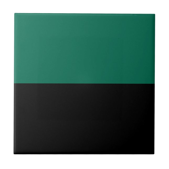 Bandeira do Texel (Frente)