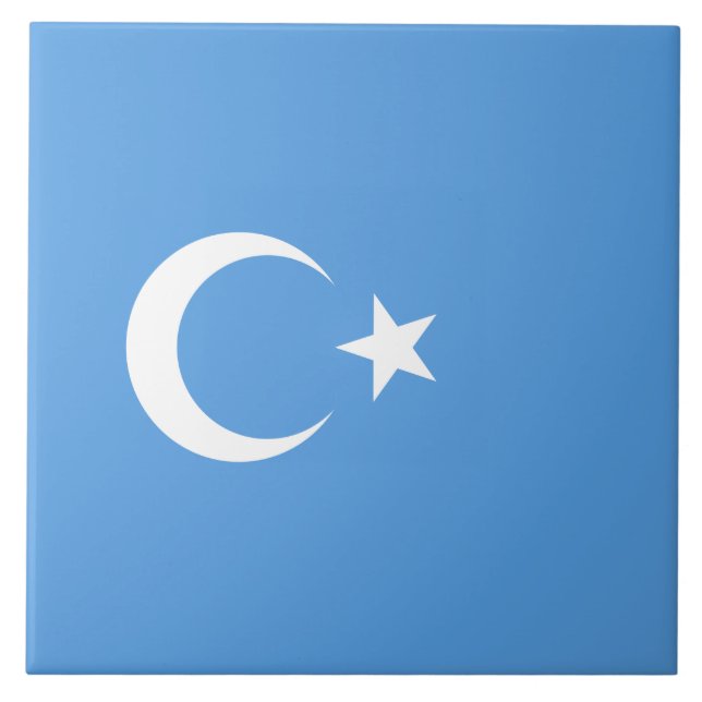 Bandeira do Uigur do Turquestão Oriental (Uyghuris (Frente)