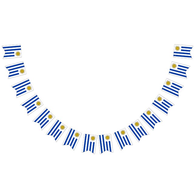 Bandeira do Uruguai (Todos)