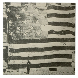 Bandeira Estrelada: Bandeira Americana em Exposiçã