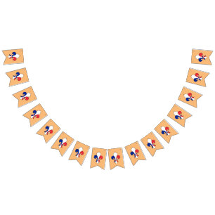 Bandeira francesa e Fleur De Lys 