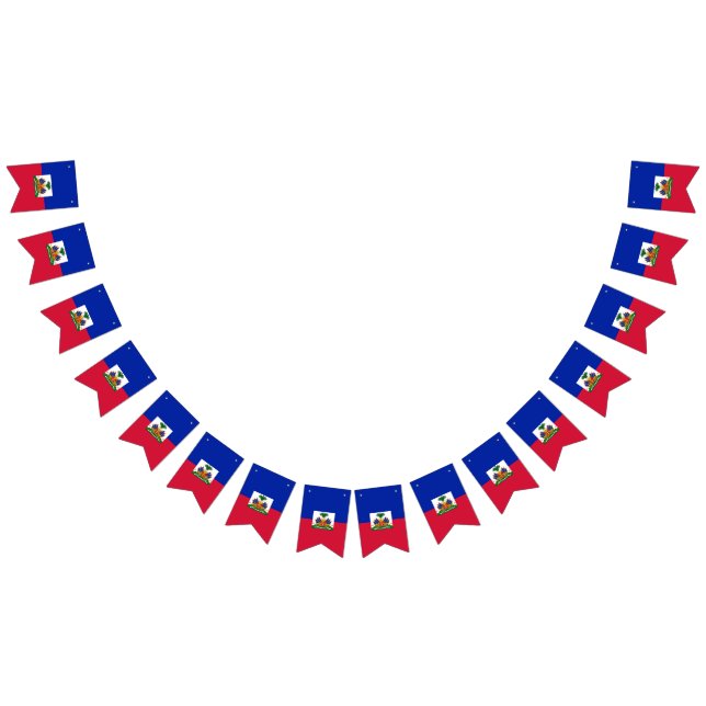 Bandeira haitiana (Todos)