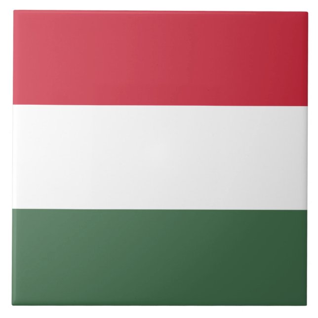 Bandeira Húngara (Frente)