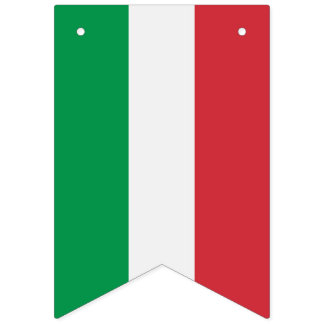 Bandeira italiana, bandeira do partido com a