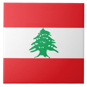 Bandeira Libanesa (Bandeira do Líbano)