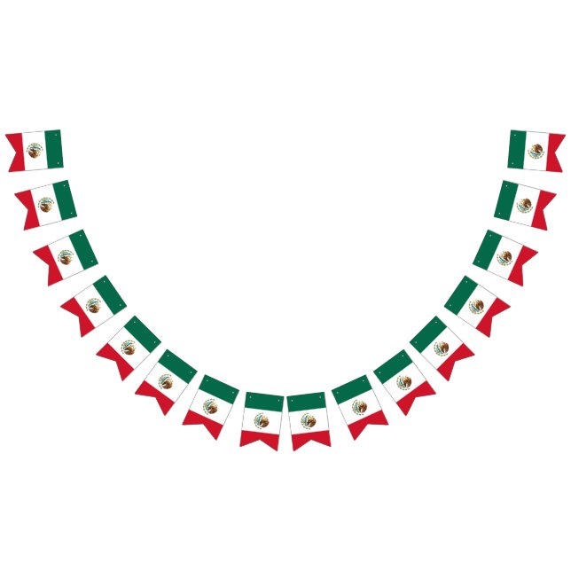 Bandeira mexicana - Bandeira do México (Todos)