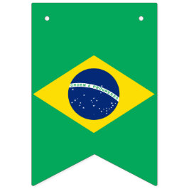 Bandeira nacional de Brasil, bandeira da estamenha