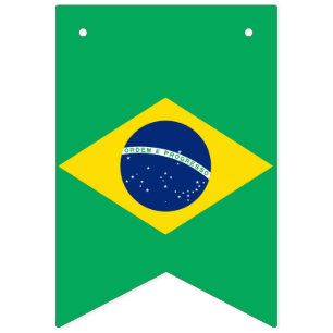 Bandeira nacional de Brasil, bandeira da estamenha