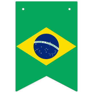 Bandeira nacional de Brasil, bandeira da estamenha
