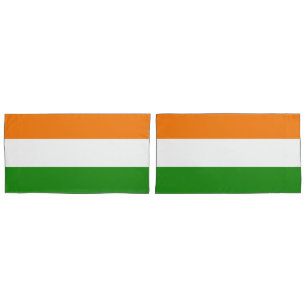 Bandeira nacional de India Ashoka Chakra