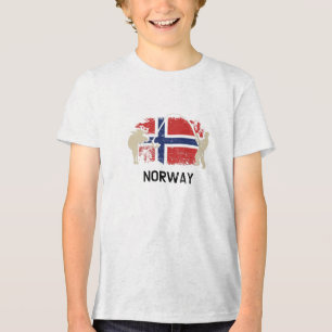 Bandeira Norueguesa