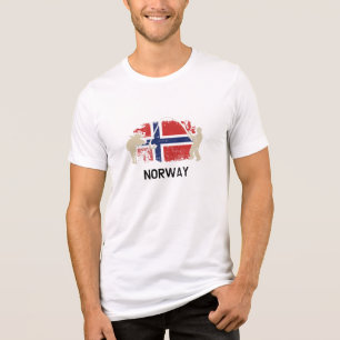 Bandeira norueguesa, Noruega