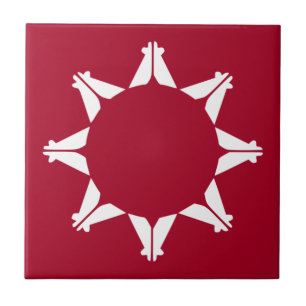 Bandeira Oglala Lakota Sioux