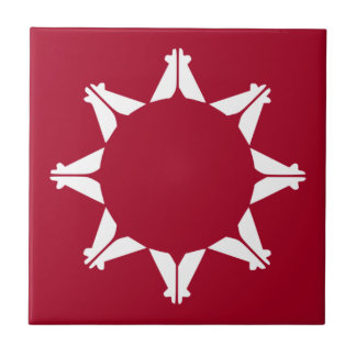 Bandeira Oglala Lakota Sioux