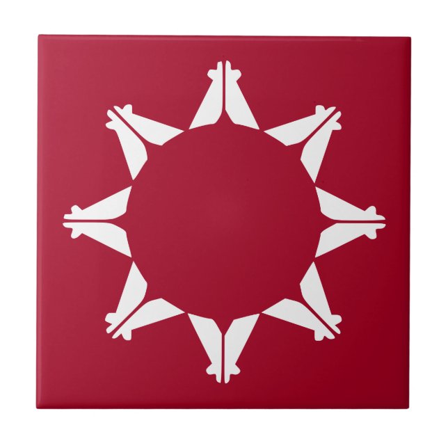 Bandeira Oglala Lakota Sioux (Frente)