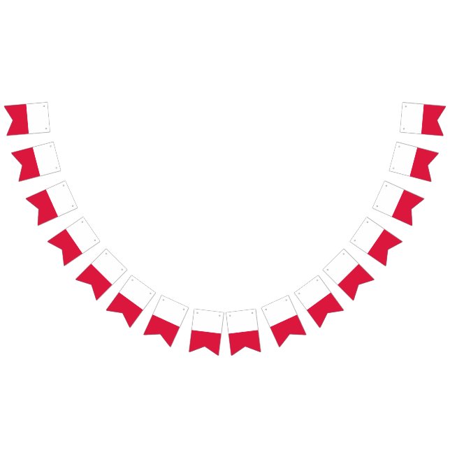 Bandeira polonesa (Todos)