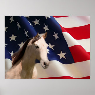Bandeira Poster de Cavalo Americano
