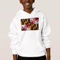 Bandeira resistida do estado de Maryland do