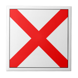 Bandeira V do ICS