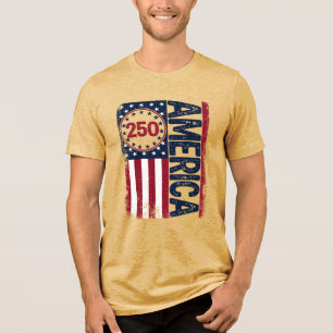 Bandeira Vintage EUA América 250 Semiquincentenári